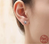 Sea Turtle Earrings.