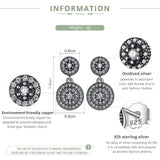 Radiant Elegance Earrings 